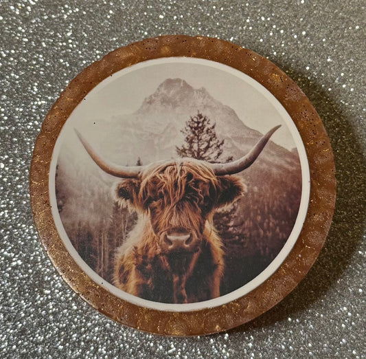 Highland Cow | Cowgirl Britches